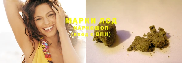 гашик Коряжма