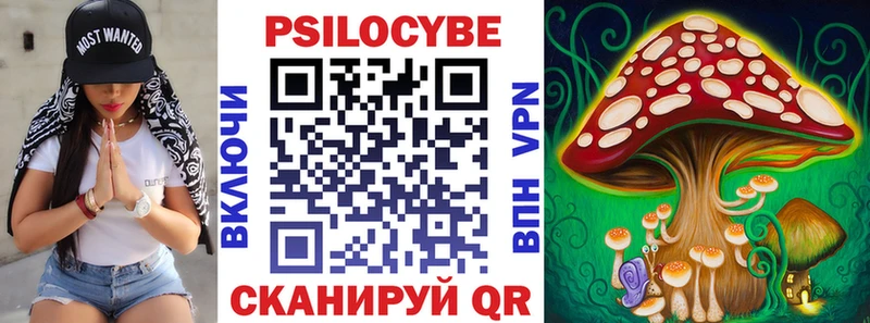 Купить  Ростов-на-Дону  Псилоцибиновые грибы прущие грибы 