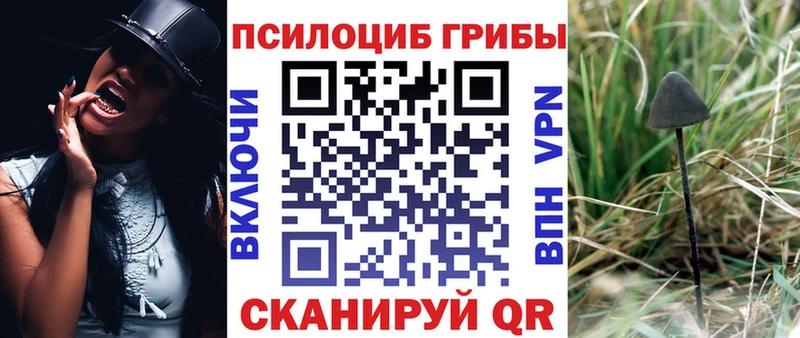 Галлюциногенные грибы мухоморы Ростов-на-Дону